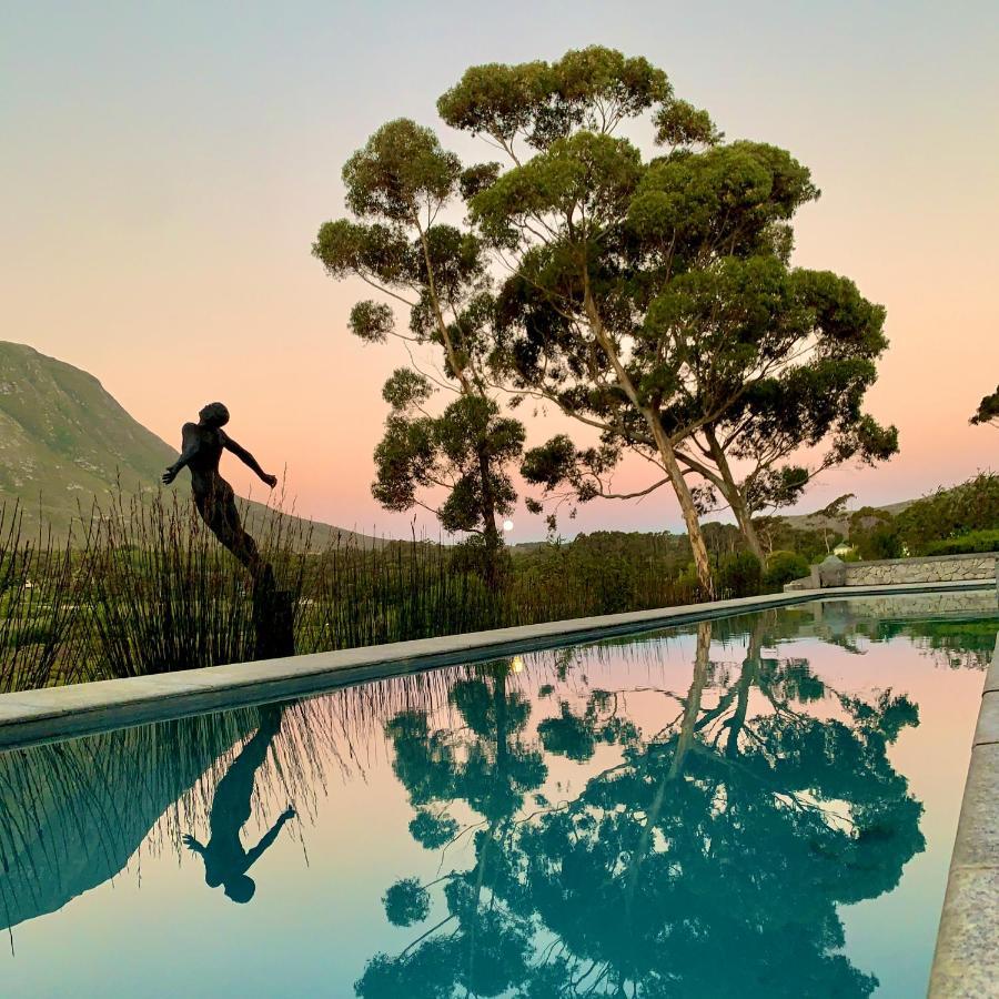 The Guardian Hermanus Luxury Self-Catering Hemel En Aarde Valley Lejlighed Eksteriør billede